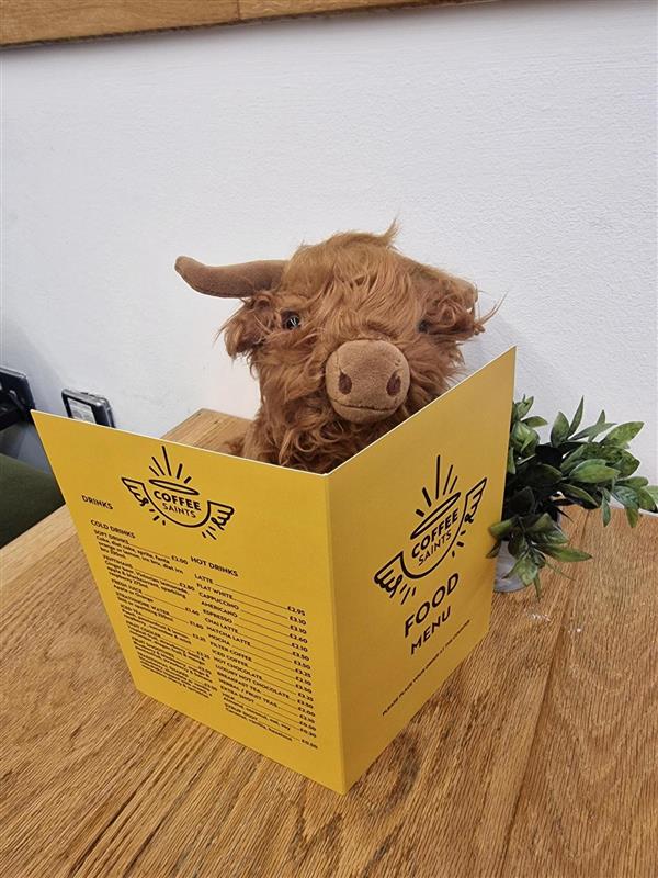 HighlandTSI's tweet photo. 🐮 Bo has been out and about again, this time visiting Edinburgh!  A jam-packed trip, he managed to visit: 
@goodstuffedin, pictured meeting new friend Dougie!
@VolunteerEdi 
@coffeesaints, a social enterprise cafe
@VestaEdinburgh, a social enterprise restaurant https://t.co/kyO8YujXfm