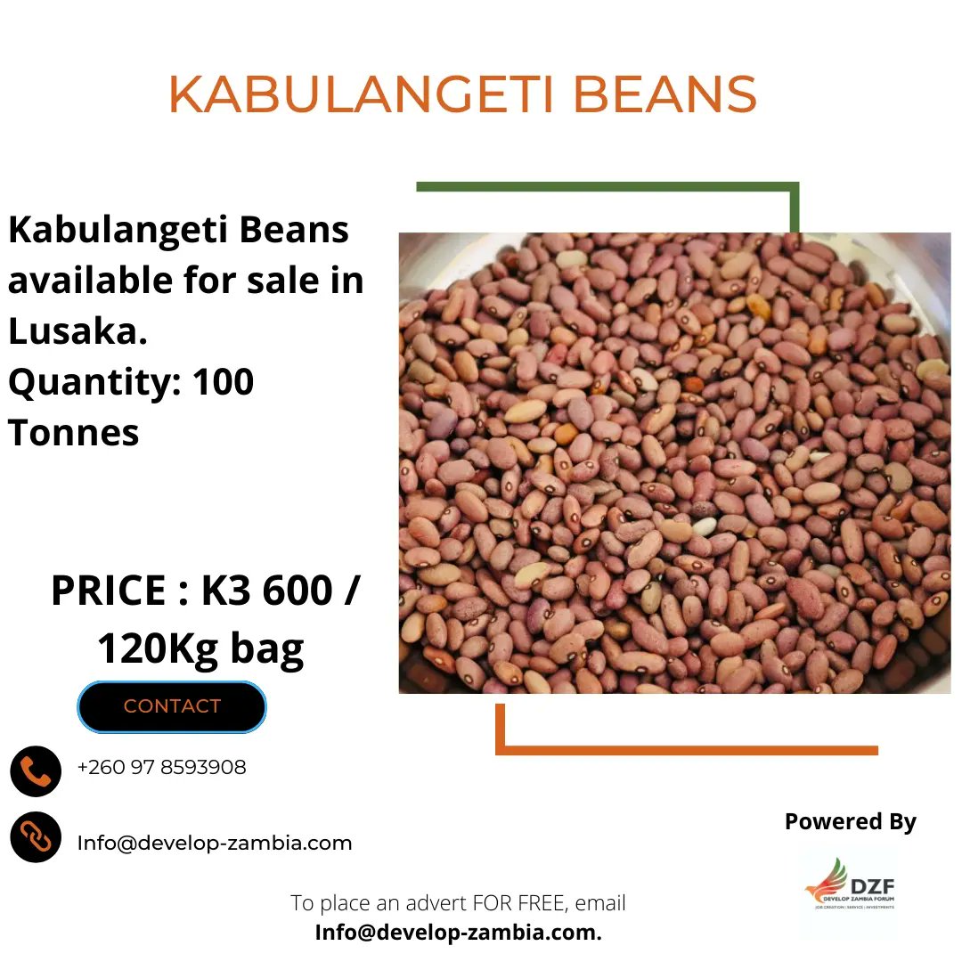 DevelopZForum's tweet photo. AGRICULTURAL COMMODITIES FOR SALE

For details, contact – 097 8593908 or
Email - Info@develop-zambia.com 

#advertising #advertisements #dzf #dzfupdates

To place an advert with #DZF for free, email Info@develop-zambia.com https://t.co/uzeOXr8L1i