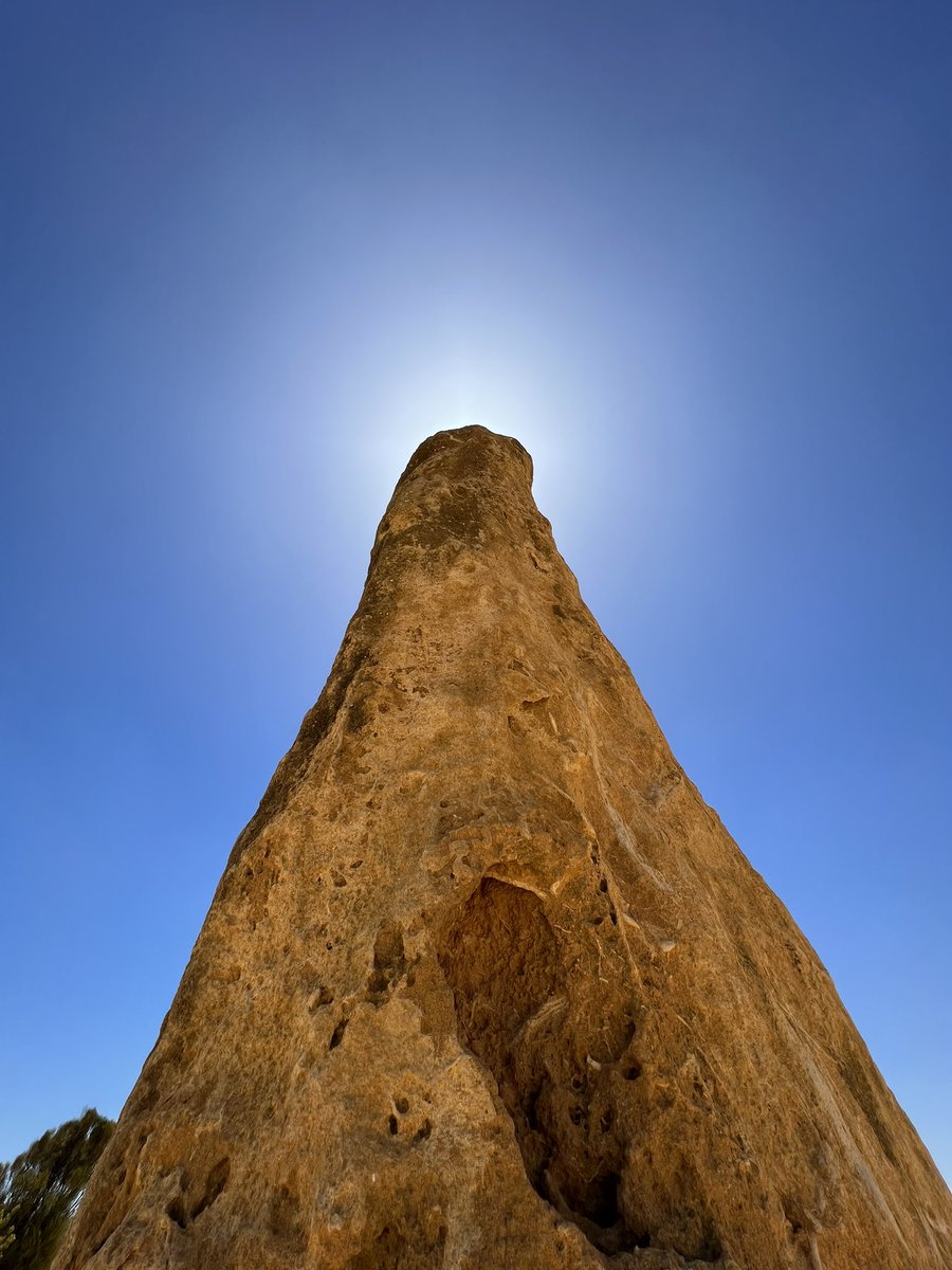 Chorouzu1017's tweet image. そして今回ご一緒させて頂いてる写真家さんが何か撮ってる…と思ったら、こんなアングルで撮れるとは！

やっぱり目の付け所がさすが✨
#ピナクルズ
#pinnacles