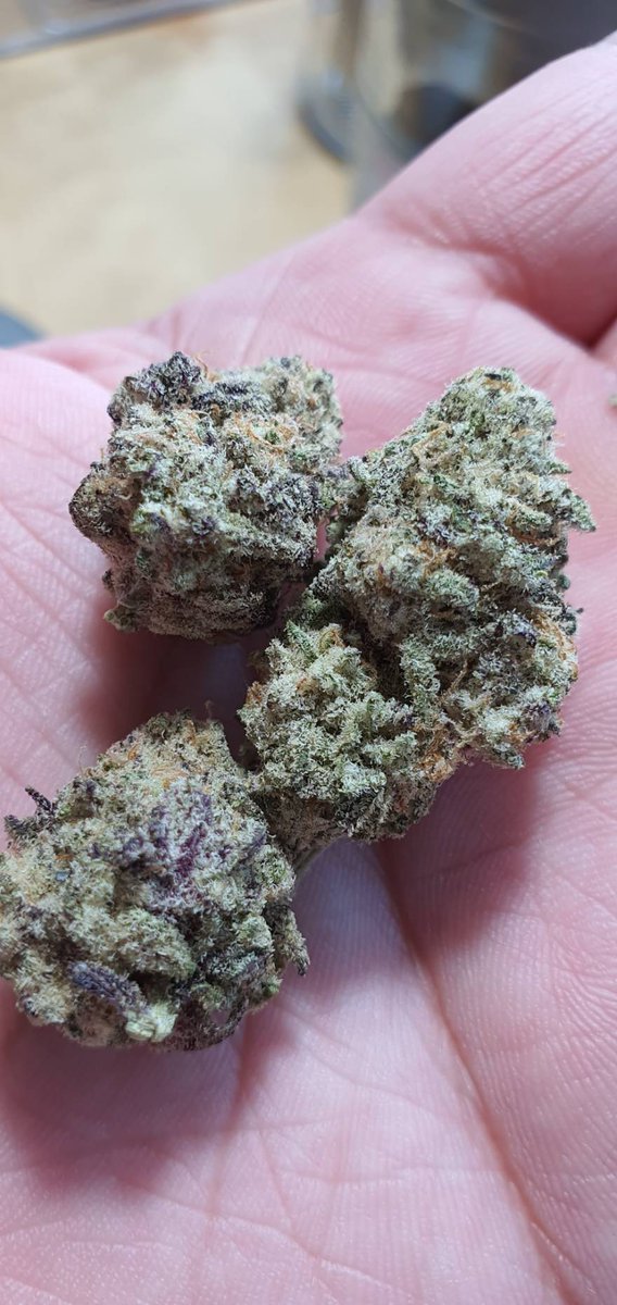 Sweedn_Roll's tweet photo. -1-GelatoCake THC25%up
Indica75 Santiva25
Effect☺️🥰😚😴
Body High,Happy,Sleepy,Uplifting
Relieve Symptoms>😪😩😓
Anxiety,Inflammation,Insomnia,Stress
Flavors🍦🍋
Creamy,Vanilla,Citrus
ContactMe>https://t.co/AVTSJdRvIE
#กัญชาบางนา  #กัญชากรุงเทพ  #กัญชาออแกนิค 
#กัญชาสมุทรปราการ https://t.co/0GLl6VR4rd