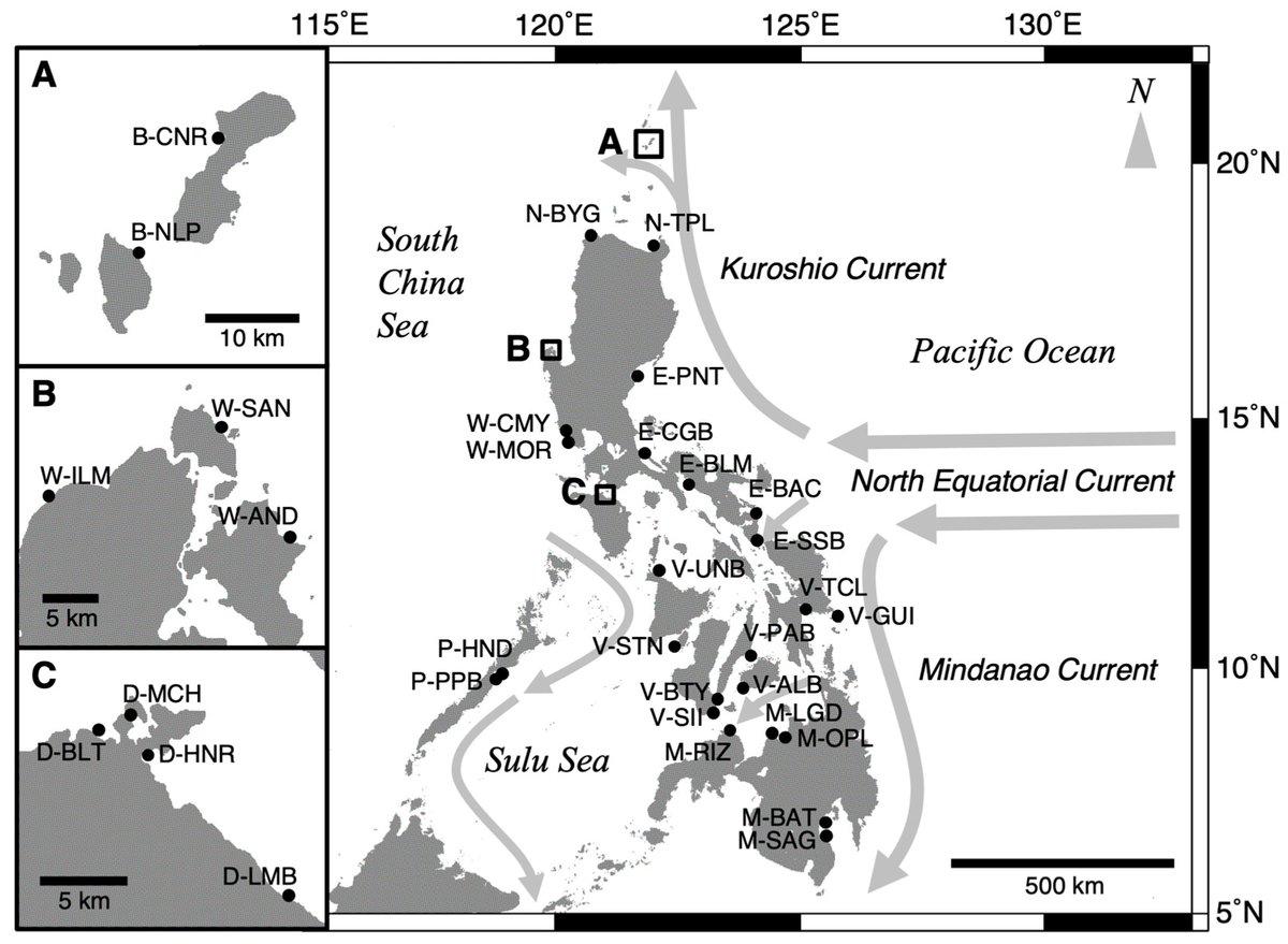 JMSE_MDPI's tweet image. #NewArticle

Strong #GeneticStructure and Limited #GeneFlow among Populations of the Tropical #Seagrass #Thalassiahemprichii in the Philippines  mdpi.com/2077-1312/11/2… #mdpijmse via @JMSE_MDPI 
@upsystem @titrfc 

#clonality #geneticdiversity #geographicisolation #microsatellite