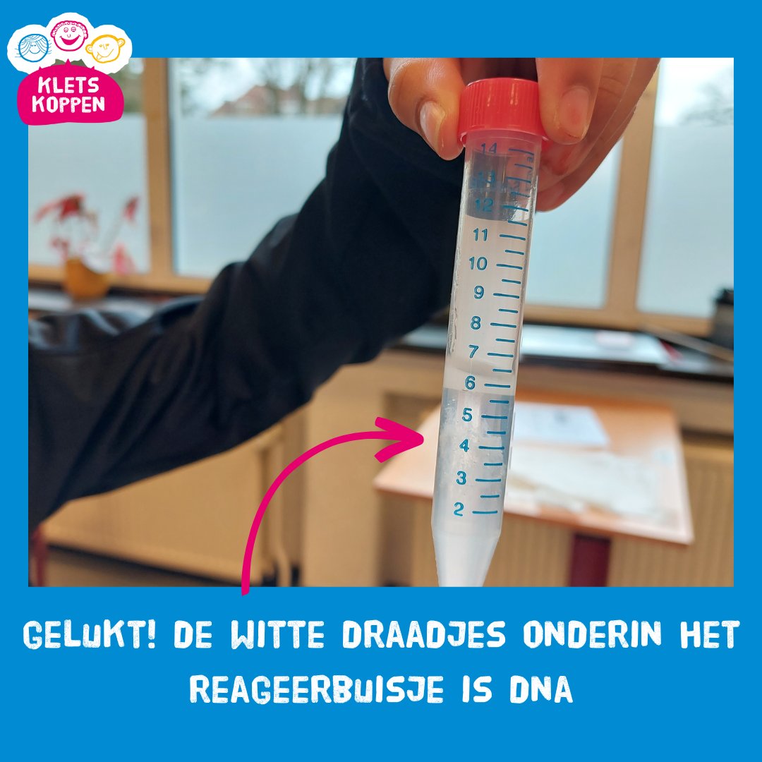 Kletskoppenfest's tweet image. Helpt je #DNA bij het leren #lezen?
Een heel klein beetje, vertelden Else Eising &amp;amp; Ellen Verhoef van @MPI_NL zondag op de @Weekendschool. De kinderen haalden DNA uit speeksel en zochten uit welke DNA-variant het beste helpt bij lezen. Maar: het belangrijkst blijft veel oefenen!