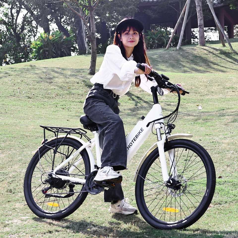 Shuangye Electric bike tweet media