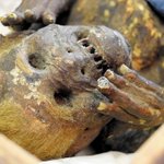 現代科学で解明!人魚のミイラの正体が明らかになった!