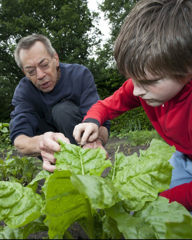 🌾🐝 I Een buurtmoestuin of een bijenlint aanleggen? Is daarvoor geld nodig en wil je meer bekendheid voor jouw idee? Doe mee met gratis workshops op 9 en 16 februari, mogelijk gemaakt door Provincie Noord-Brabant en Voor je buurt. Meer info ▶️ bit.ly/3X6rXXw