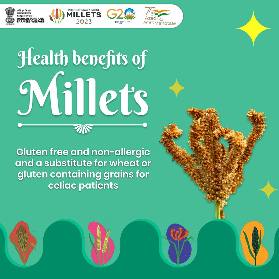 Northern Railway on Twitter "RT drm_mb Millets are naturally gluten