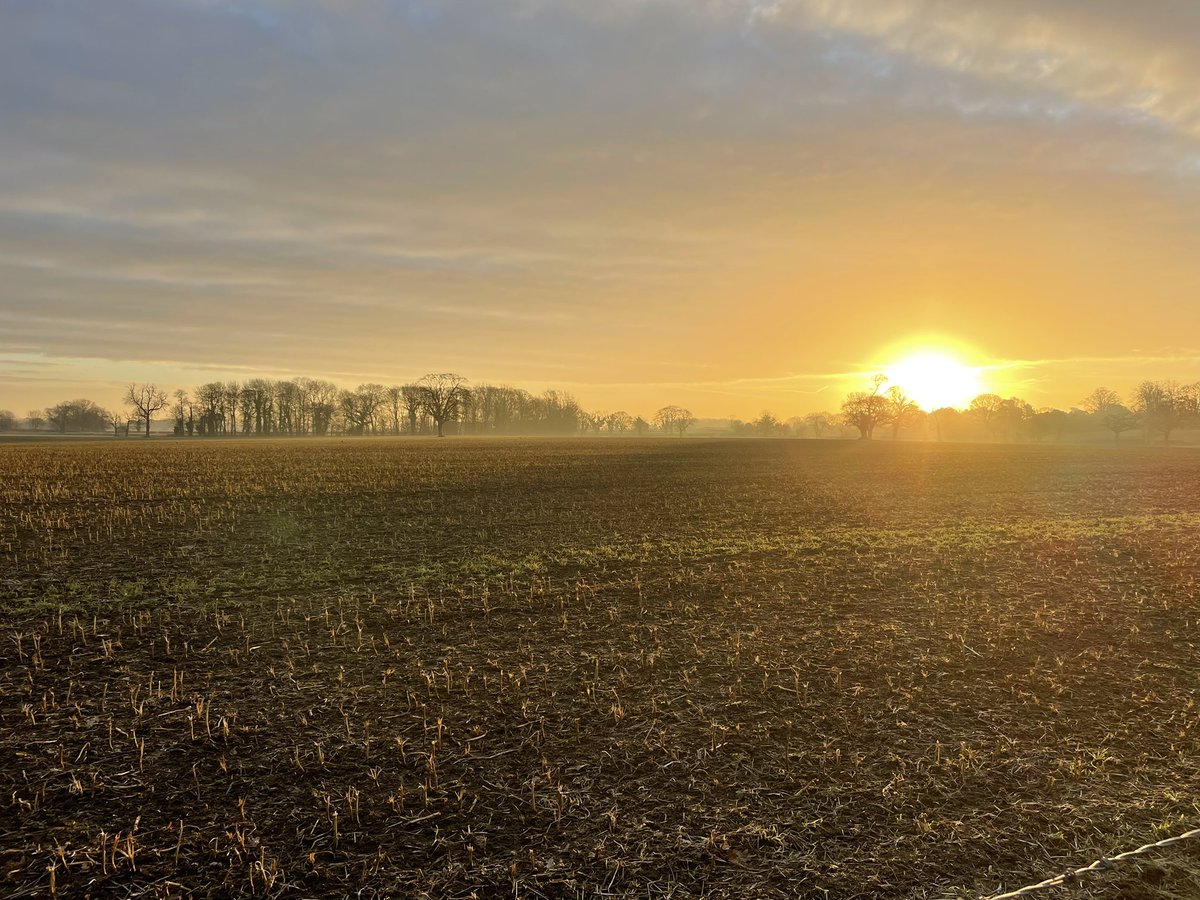 For so many years of my life, I’ve chosen not to go for a run. Now, for my own mental health, they are an important part of my day and I wish I’d realised that sooner. 
Today’s sunrise in #Boroughbridge.  #ChildrensMentalHealthWeek