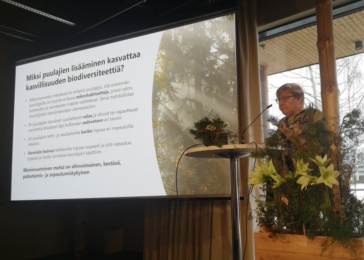 'Monimuotoinen metsä on elinvoimainen, kestävä, palautumis- ja sopeutumiskykyinen' Päivi Merilä @LukeFinland #metsäareena2023