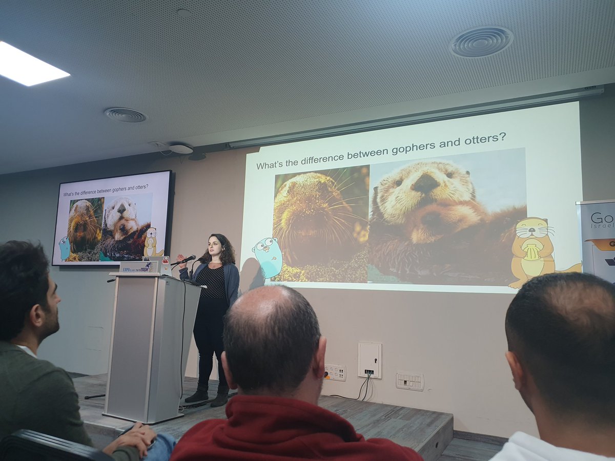 NetanelBollag's tweet image. תראו תראו @amitlicht האלופה מדברת על אינטרפייסים בגו מול חדר מלא ויש לוטרות&amp;amp;גופרים במצגת!
#gophercon23