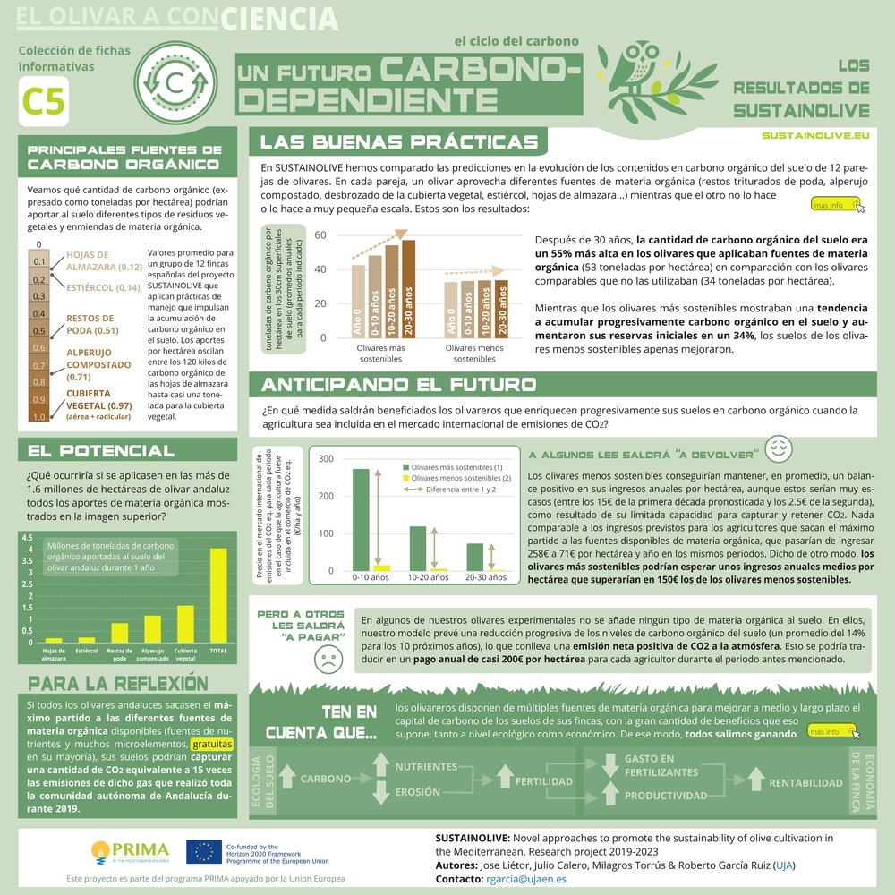 cdeualmeria's tweet image. Echa un vistazo a esto! 👁️🫒

Los #olivares que añaden a sus suelos diferentes fuentes de materia #orgánica de forma continuada podrían mejorar de forma muy significativa sus niveles de #carbono orgánico y, por tanto, su #fertilidad 🔝

#organicagriculture 
Via: @sustainolive