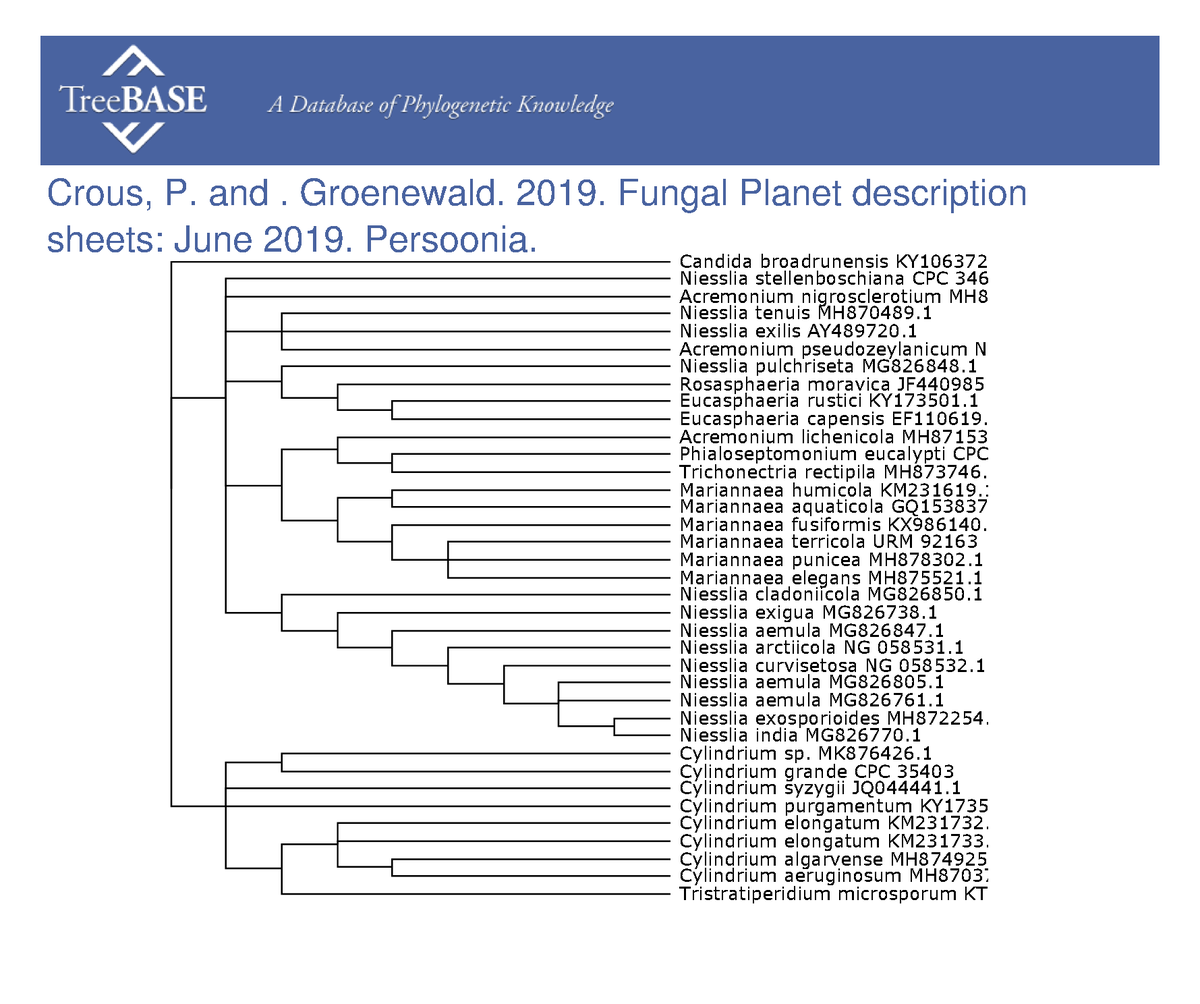 treebase's tweet photo. Pedro Crous and  Johannes (Ewald) Groenewald shared their data with #TreeBASE on Feb 07, 2023. @Naturalis_Sci

https://t.co/ISwBTjBY2g https://t.co/cde99lIEDF