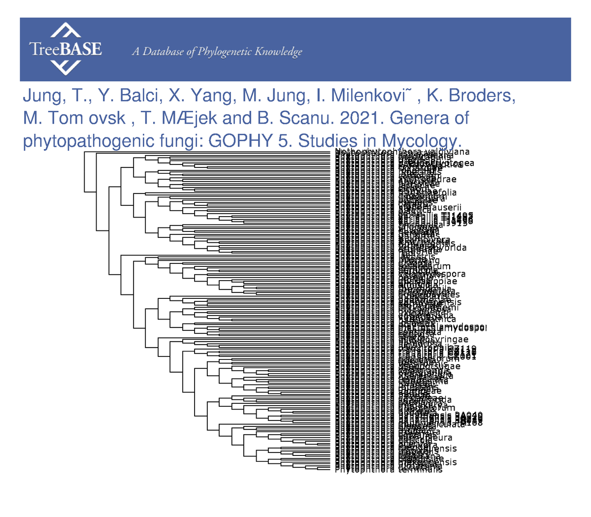 treebase's tweet photo. Thomas Jung and colleagues shared their data with #TreeBASE on Feb 07, 2023. @_knaw

https://t.co/LrWKdzEarB https://t.co/clhxnh9mVP