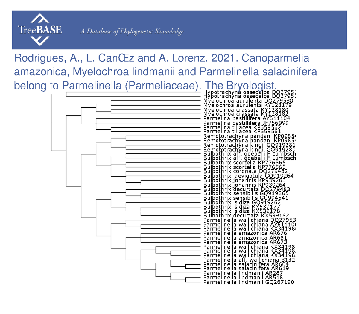 treebase's tweet photo. Andressa Rodrigues and colleagues shared their data with #TreeBASE on Feb 07, 2023. @ABLSlichenbryo

https://t.co/7n0H03CBAt https://t.co/XFQ3NpfyRx