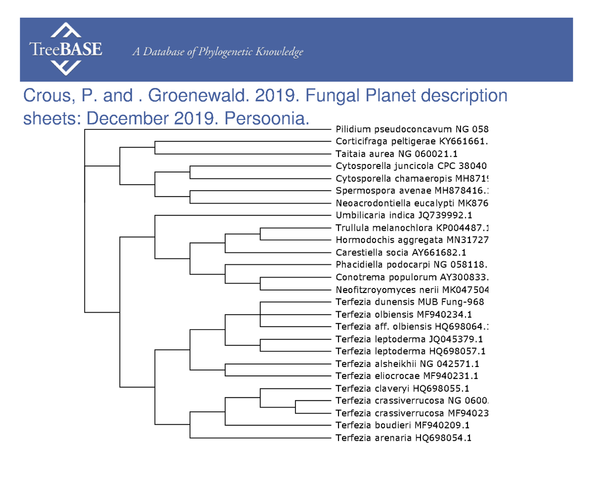 treebase's tweet photo. Pedro Crous and  Johannes (Ewald) Groenewald shared their data with #TreeBASE on Feb 07, 2023. @Naturalis_Sci

https://t.co/cRfuPDSluu https://t.co/ms6HJLmuVl
