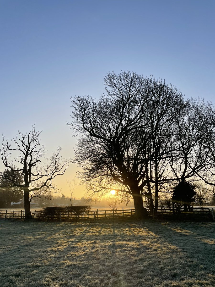 Ellen Manning tweet media