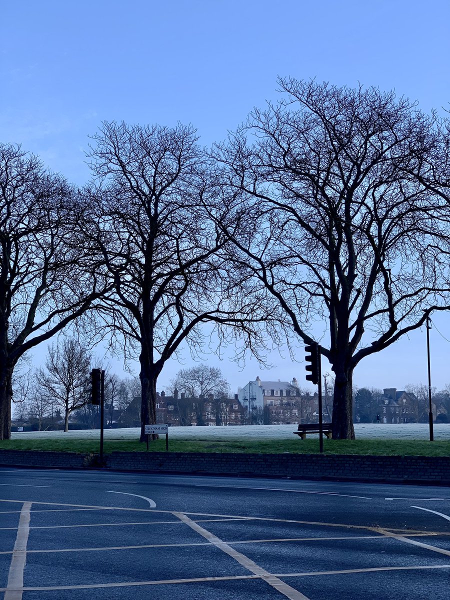 Mediworld tweet media