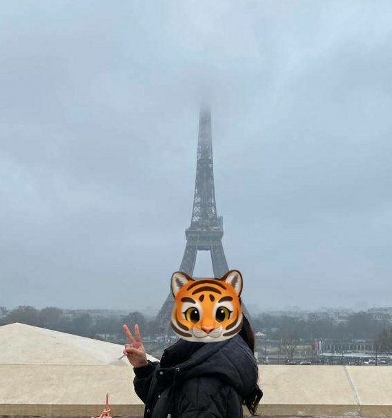 thv🧸 tweet media