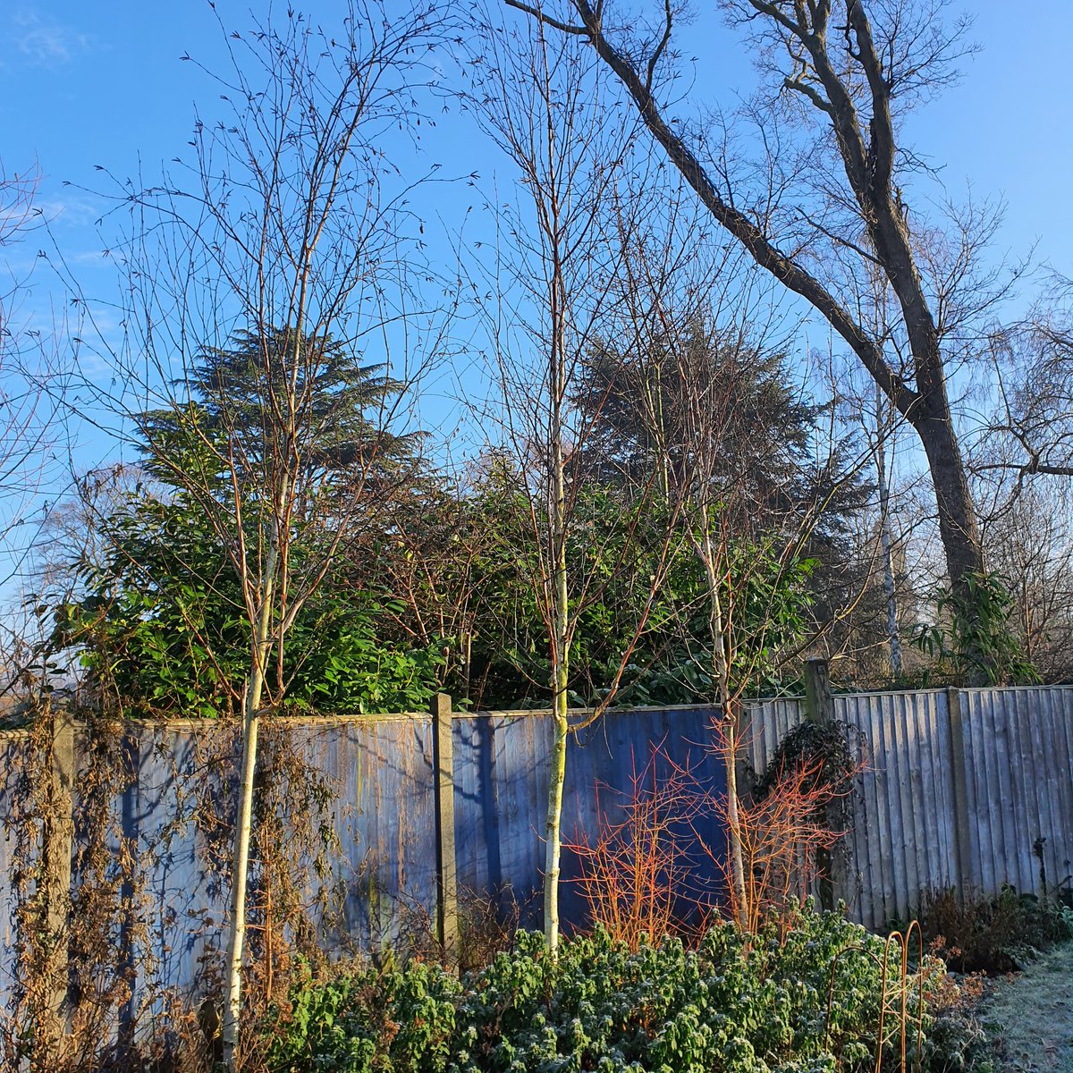 norfokgin's tweet photo. A frosty winter day at Gin HQ.
Warm and toasty inside.
#ginmaker #gin #norfolkgin https://t.co/69jyndBspx