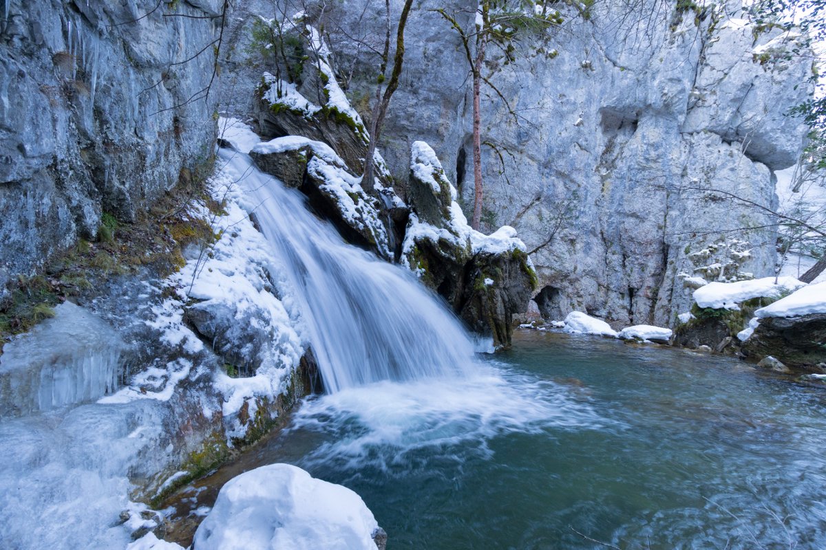 elsabaiao's tweet photo. Fluye el agua en la cascada de Belabartze. El progresivo deshielo convierte a la nieve que hay en el monte en un tesoro de incalculable valor.
Isaba (Pirineo navarro) https://t.co/GOvvzXPqkH