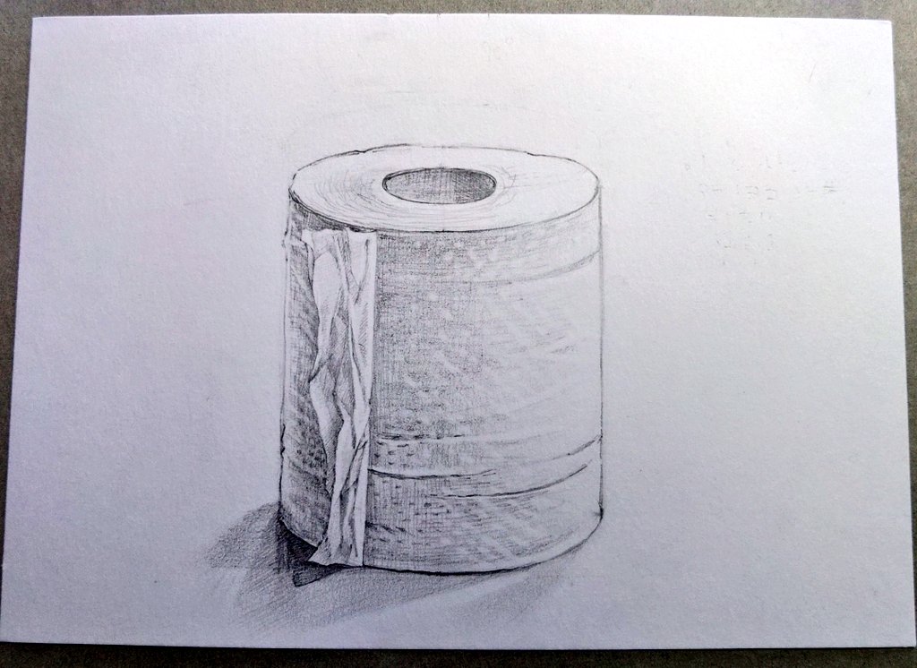 ヒトに説明するため、トイレットペーパーを描きました。 