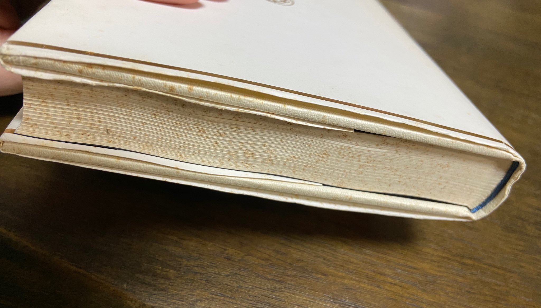 本 シミ
