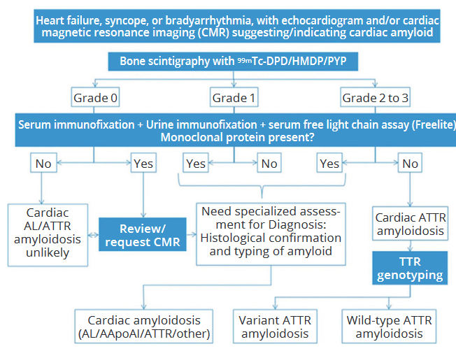 gbiondizoccai's tweet photo. The revolution of ATTR amyloidosis in cardiology: certainties, gray zones and perspectives, by the late Claudio Rapezzi et al
https://t.co/NXNp8MzqW4
#MinervaCardiologyAngiology https://t.co/lp4gLEJ2F3