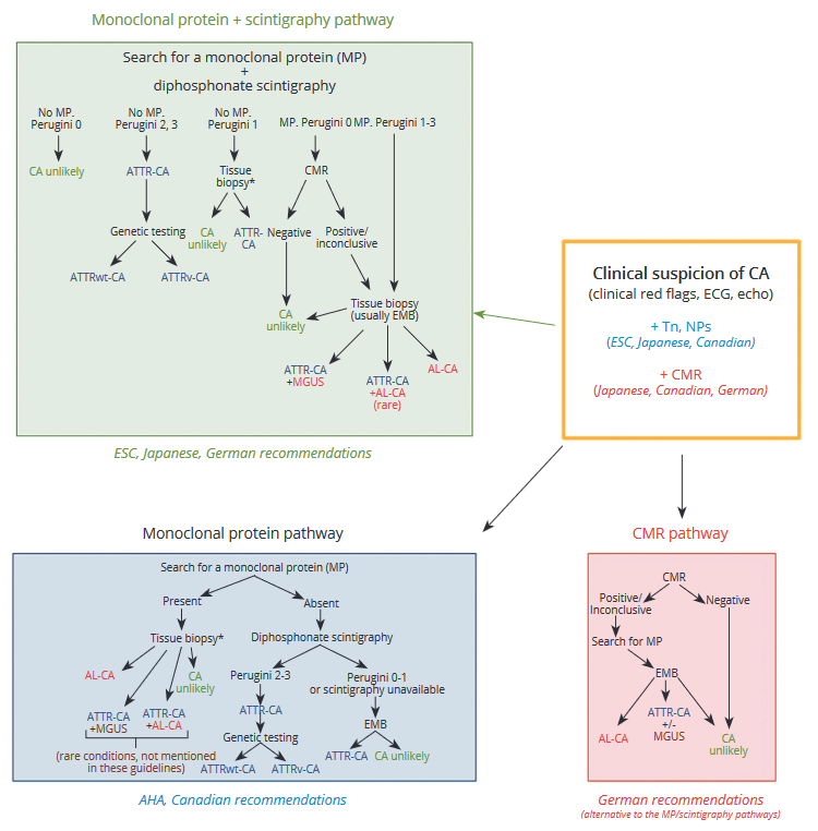 gbiondizoccai's tweet photo. The revolution of ATTR amyloidosis in cardiology: certainties, gray zones and perspectives, by the late Claudio Rapezzi et al
https://t.co/NXNp8MzqW4
#MinervaCardiologyAngiology https://t.co/lp4gLEJ2F3