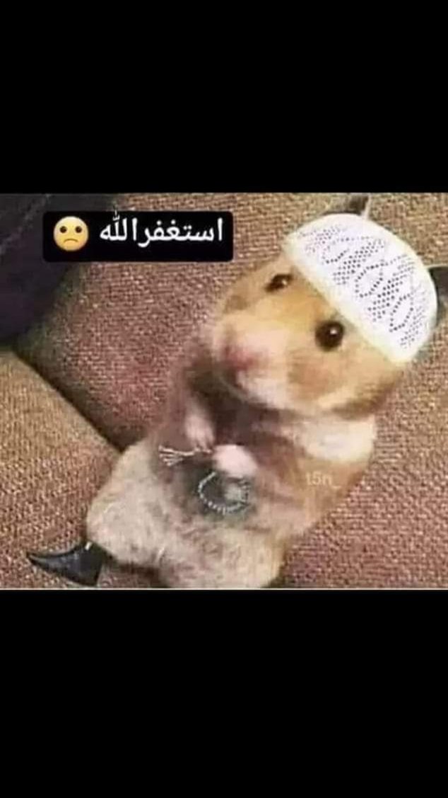 Omaralobidy71's tweet photo. الى متى؟؟ #العلوم_مهمشين_يرئيس_الوزراء https://t.co/axEjorvq3z
