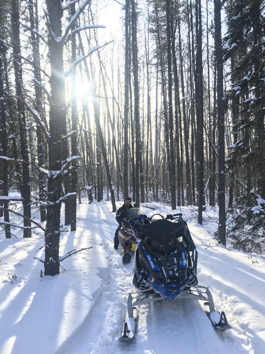 bforsber's tweet photo. Special times #snow #son #sunlight #Sled #FreshSnow #NoTracks #NorthCountry https://t.co/DzclipMgFY