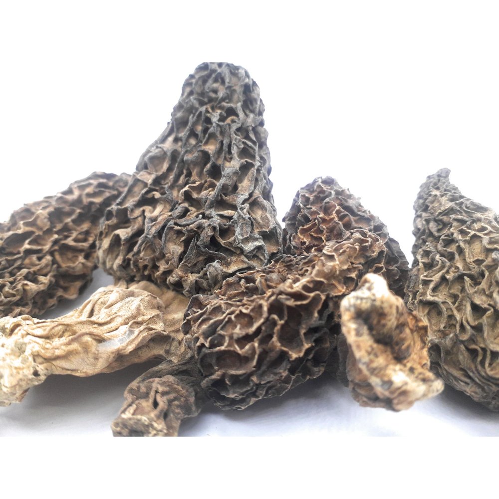 PuraniDilliSe's tweet photo. #Health #Superfoods #mushrooms
#Morel #gucchi #spices
#herbs #rare #Kashmiri
I just listed: Shahi Gucchi Morel Morchella Dried Mushroom King Size Class - l (50g), for ₹2,299.00 via @amazon  https://t.co/QU3ilKVaOe https://t.co/O0FnzR29cM