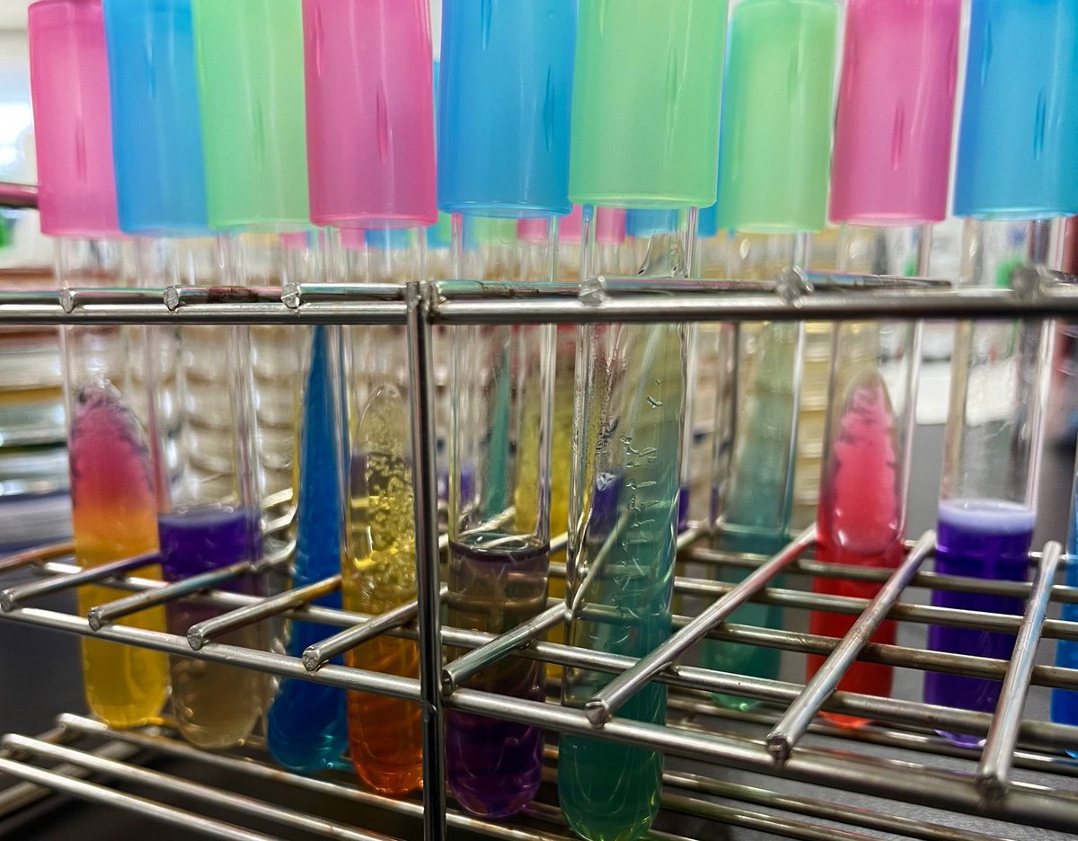 DraWataru's tweet photo. Microbiology is colorful...👨‍🔬✨ https://t.co/pUaE3Bxucs