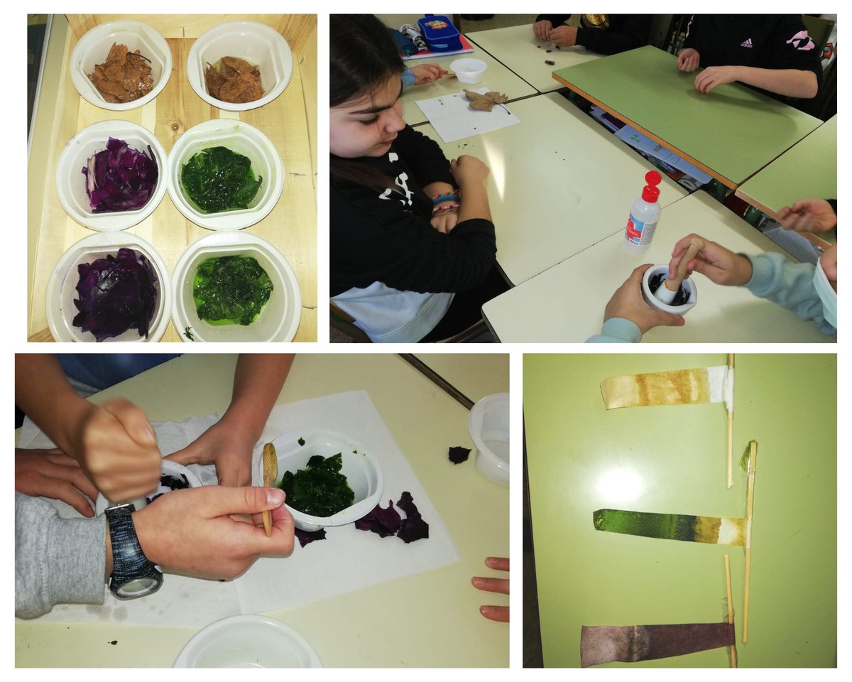 PuertadeSancho's tweet photo. Usando el método científico en 5° para extraer clorofila y otros pigmentos de diferentes tipos de hojas. Experimento, preguntas, hipótesis, observación y conclusiones.
¡Súper interesante!
#métodocientífico
#innovaeducar
https://t.co/nSm15jwJ9c https://t.co/wdt2DsKld8