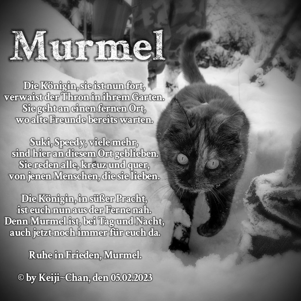 KeijiChan_'s tweet photo. 🖤🕯️🐈
Ruhe in Frieden, Murmel

#restinpeace #rip #ruheinfrieden #Katze #cat #Königin #Queen #Trauer #sad #Murmel #poetry #lyric #Poesie #Gedicht #traurig #Tod #death https://t.co/N3a7OXDQML