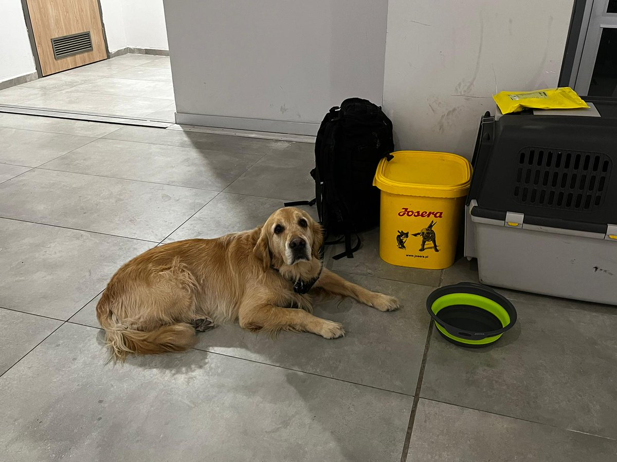 KamilBracio's tweet image. Wczoraj wieczorem polscy strażacy wylecieli z @ChopinAirport specjalnym lotem @LOTPLAirlines do prowincji #Gaziantep skąd zostali zadysponowani do pomocy w miejscowości Adiyaman. Samolotem udało się łącznie 76 👨‍🚒, 8 🐕‍🦺 oraz 20 ton sprzętu #MisjaTurcja @eu_echo #HUSAR #earthquake