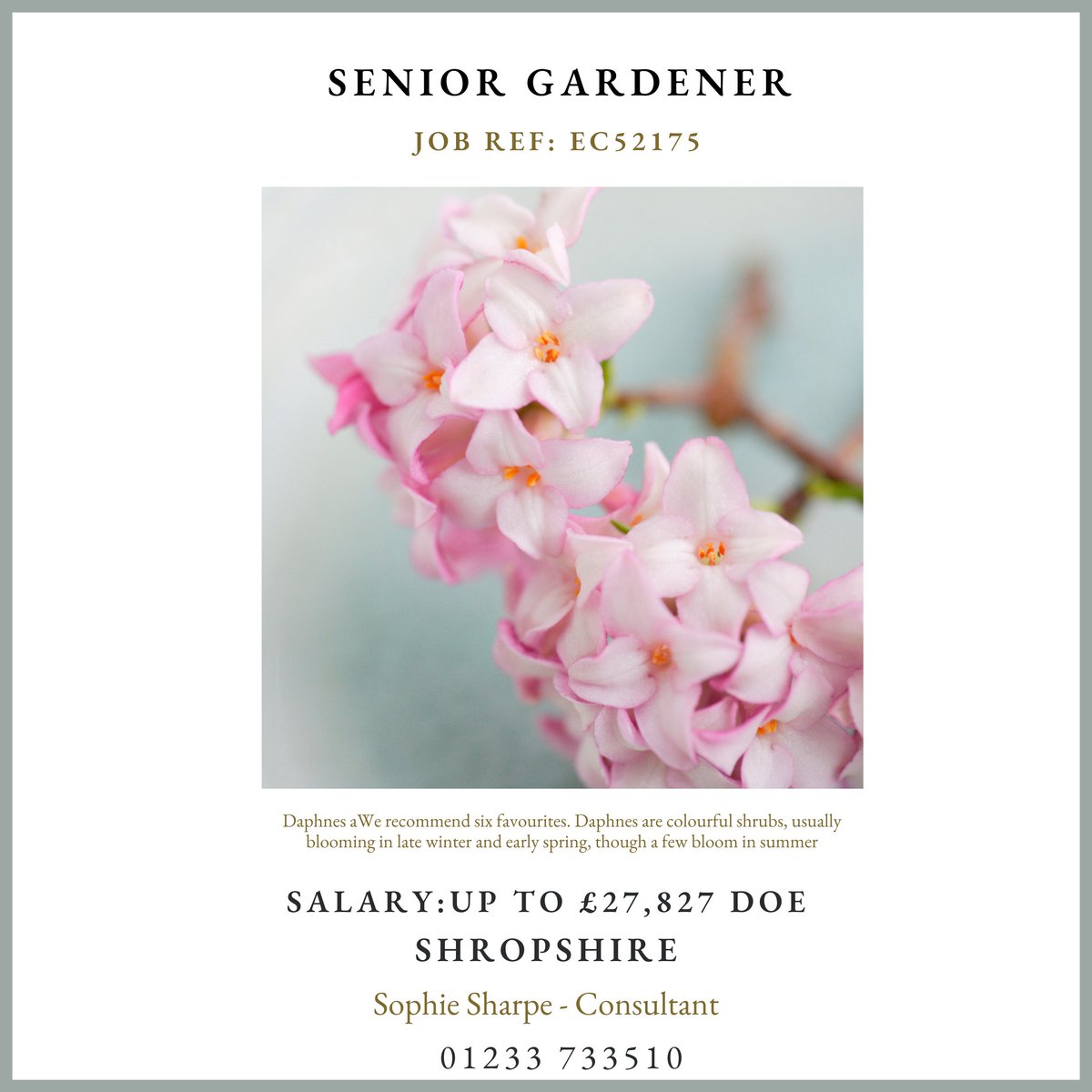 Our client is a school with a global reputation and inspiring facilities based in Shropshire. The Estates department is looking for a qualified and efficient Senior Gardener to join their friendly team.

EC52175. englishcountrygardeners.co.uk/job/gardening-…

#shropshirejobs #jobsinshropshire