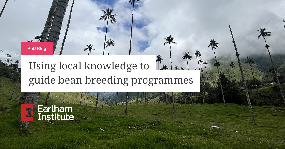 In a new #PhDBlog, Kate writes about her trip to Colombia, where she worked with collaborators at <a href="/BiovIntCIAT_eng/">Alliance of Bioversity International and CIAT</a>, to gain local knowledge and practical experience with local growers and experts in common bean crops. 
➡ okt.to/I53Oow

<a href="/katdenjam/">Kate Denning-James</a> <a href="/NRPBIODTP/">NRPDTP</a> @jjdeveg