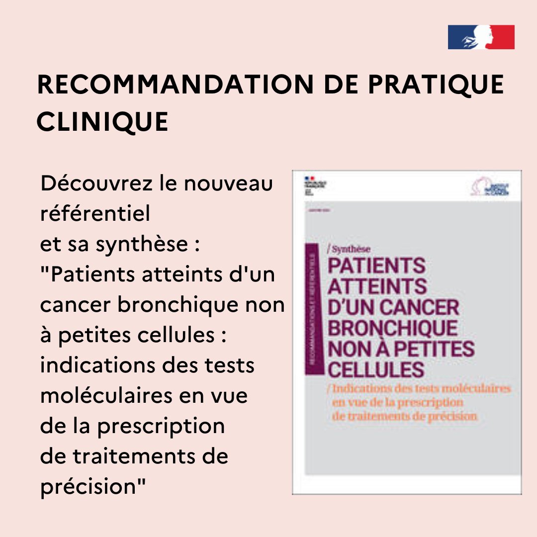 Institut_cancer's tweet image. 📙#ProDeSanté | Découvrez le nouveau référentiel et sa synthèse "Patients atteints d'un cancer bronchique non à petites cellules : indications des tests moléculaires en vue de la prescription de traitements de précision" ➡️ e-cancer.fr/Expertises-et-…