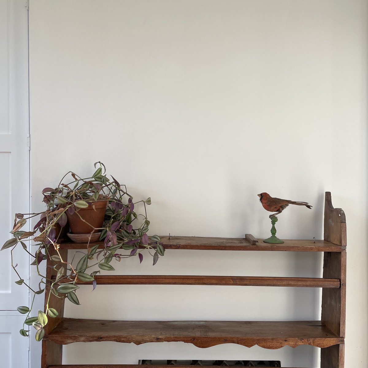 joannaofottawa's tweet photo. Moving (in)complete.
#movinghouse #objects #wheretobegin #unpacking #cardinal #plant https://t.co/F03u2fgKrZ
