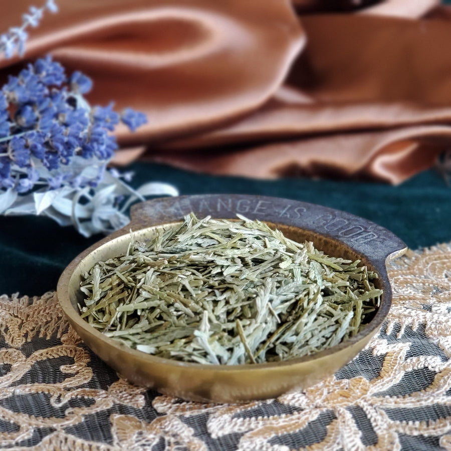 Spooky_Chic's tweet photo. 🌿 Nine different herbs available in 10g packets as well as bundles in the shop! 🌟 https://t.co/WS8DTHZMm0