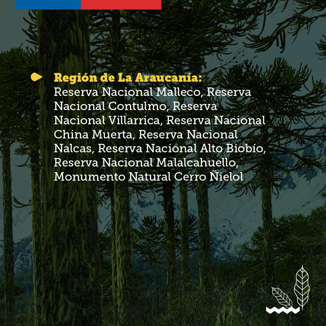 📣 ¡Atención! Estos son los parques, reservas y monumentos nacionales cerrados preventivamente debido a los #IncendiosForestales 🔥. Con ello se informa el cierre de TODAS las Áreas Silvestres Protegidas de #LaAraucanía hasta el domingo 12 de febrero 🚫.  #EvitemosUnaTragedia