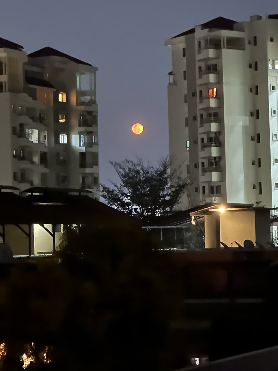 KocharMaddy's tweet photo. Mera wala #orange #moon https://t.co/UxR9FDXPzd