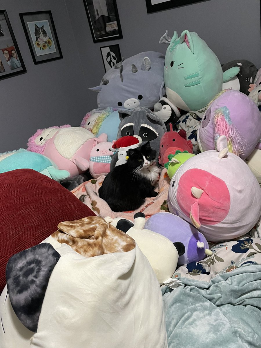 allythe_cat's tweet photo. excus me , we’re havfe an important meeteing , can your combe backe lator ? https://t.co/CHO4zPzmUN