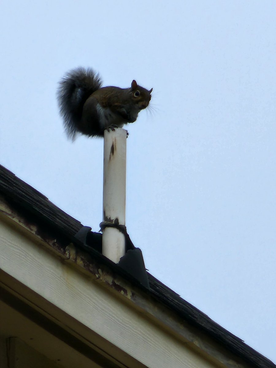 This dude is tearing up this boot then getting warm on the air from the pipe!