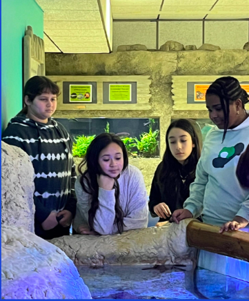 Summit K-8 Virtual Academy tweet media