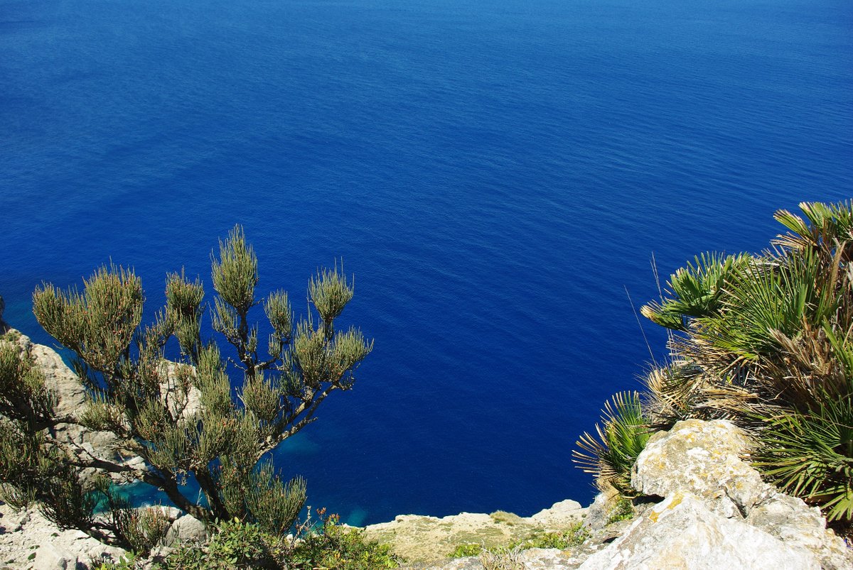 💚 Without an ecosystem there is no tourism, so it is important to take care of the natural environment. 

🙏 Help us to take care of our environment.