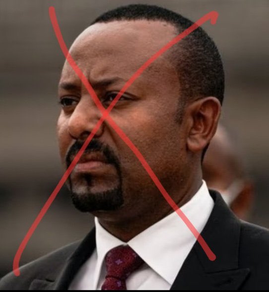 Stop selling weapons that enable warmongers to kill their own people. #StopSellingWeapons to @AbiyAhmedAli. This man is committing atrocities all over Ethiopia @EuropeanUnion36 @EmmanuelMacron @SergioMatta13 @OlafScholz  @UNHumanRights @markrutte @Alainberset @bbcafrique