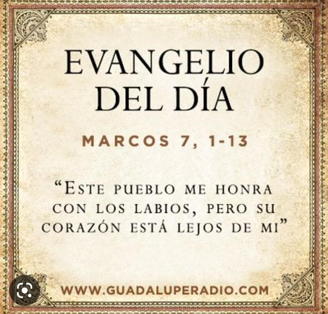 Nora Piña Ghazzaoui tweet media