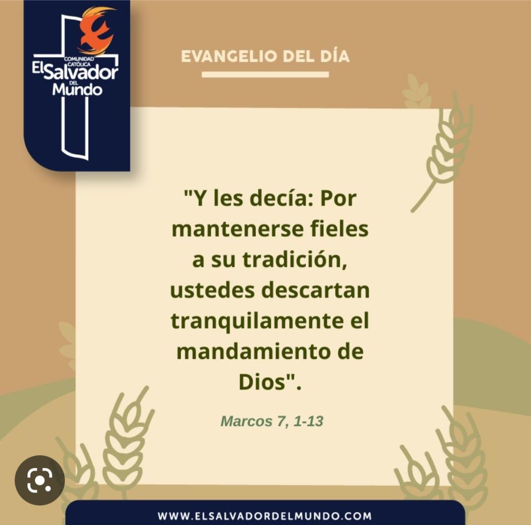 Nora Piña Ghazzaoui tweet media