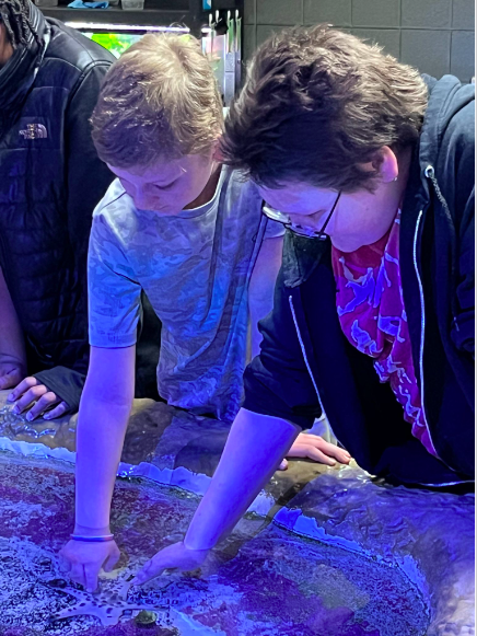 Summit K-8 Virtual Academy tweet media