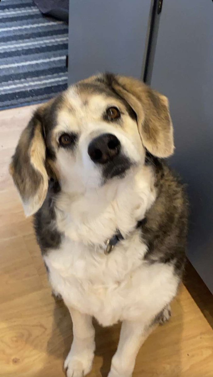 keg 🐬 tweet media